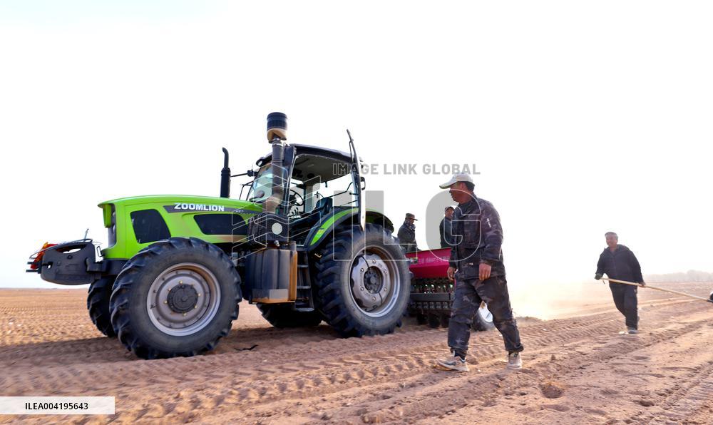 Beidou Navigation Wheat Sowing in Zhangye