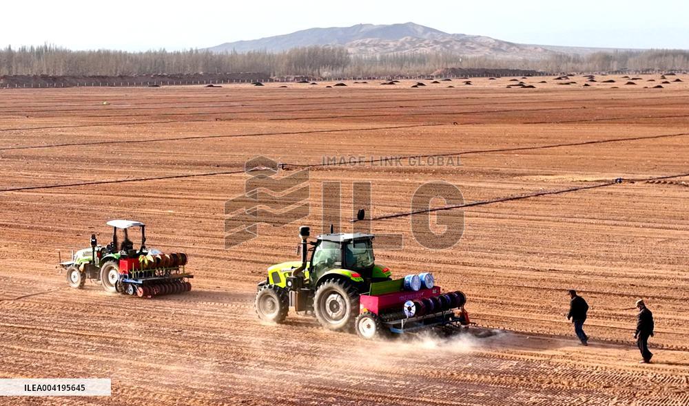 Beidou Navigation Wheat Sowing in Zhangye