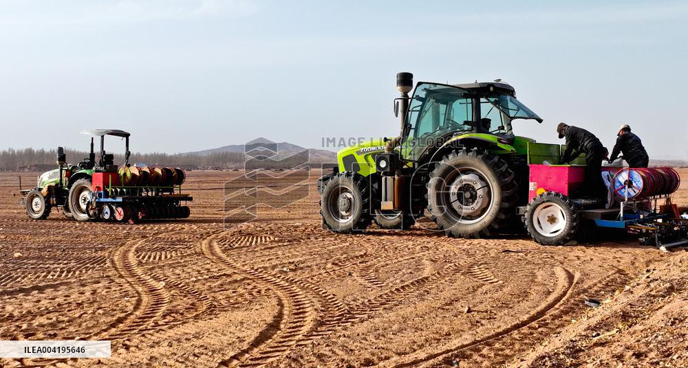 Beidou Navigation Wheat Sowing in Zhangye