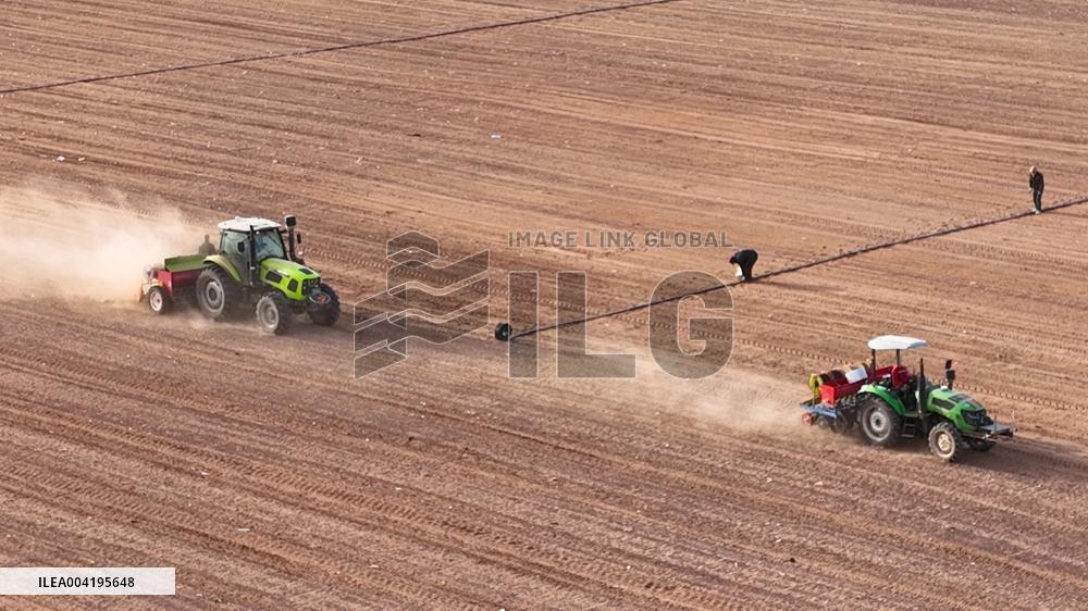 Beidou Navigation Wheat Sowing in Zhangye