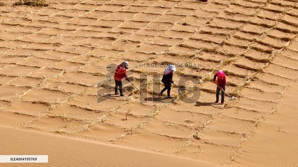 Protective Forest System Construction in Zhangye