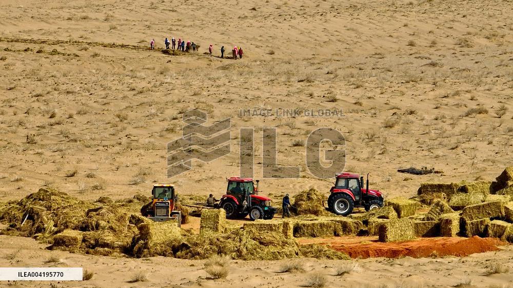 Protective Forest System Construction in Zhangye