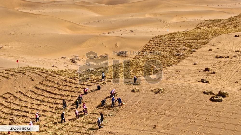 Protective Forest System Construction in Zhangye