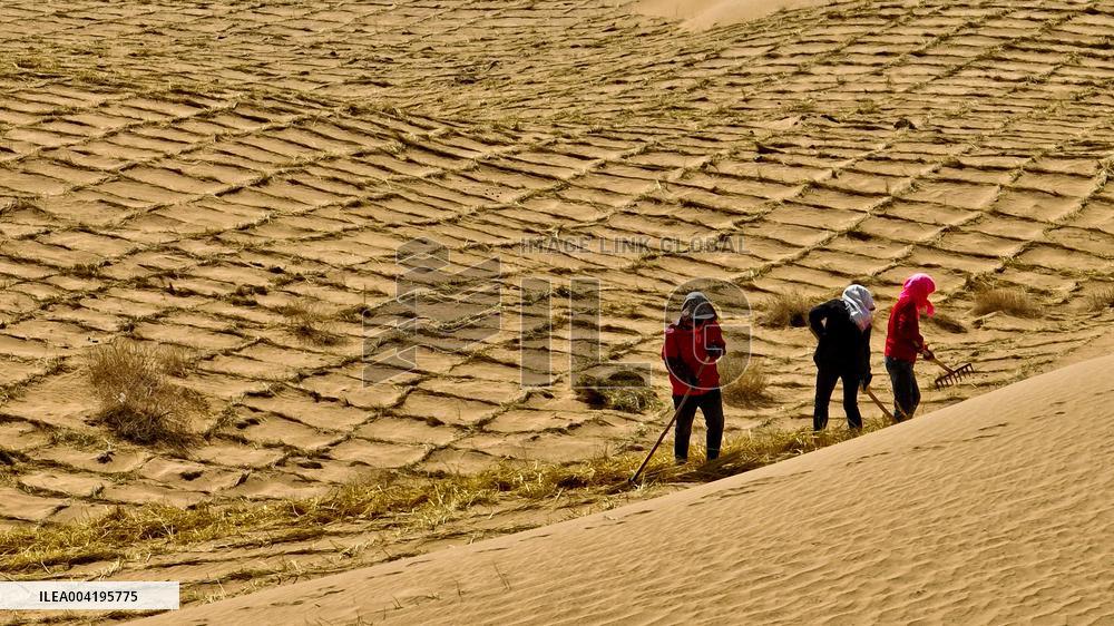 Protective Forest System Construction in Zhangye