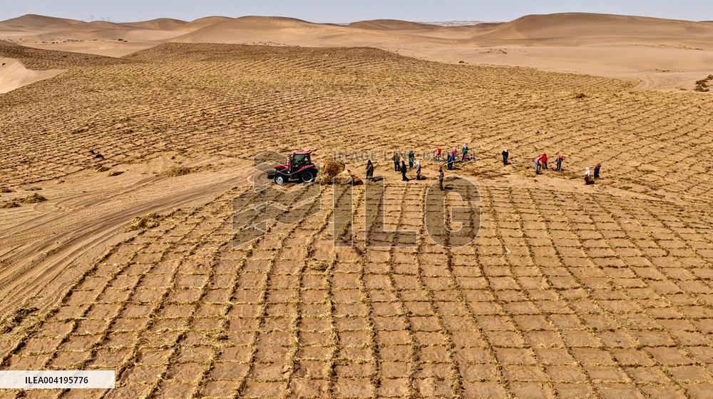 Protective Forest System Construction in Zhangye