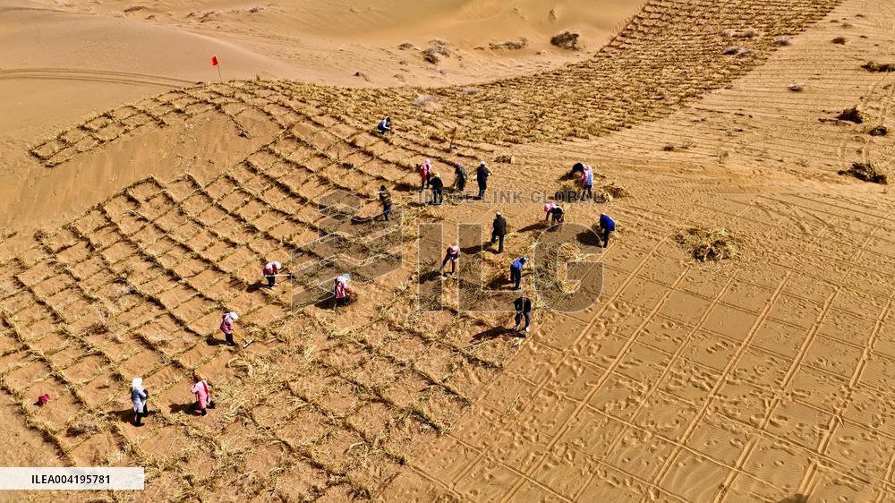 Protective Forest System Construction in Zhangye