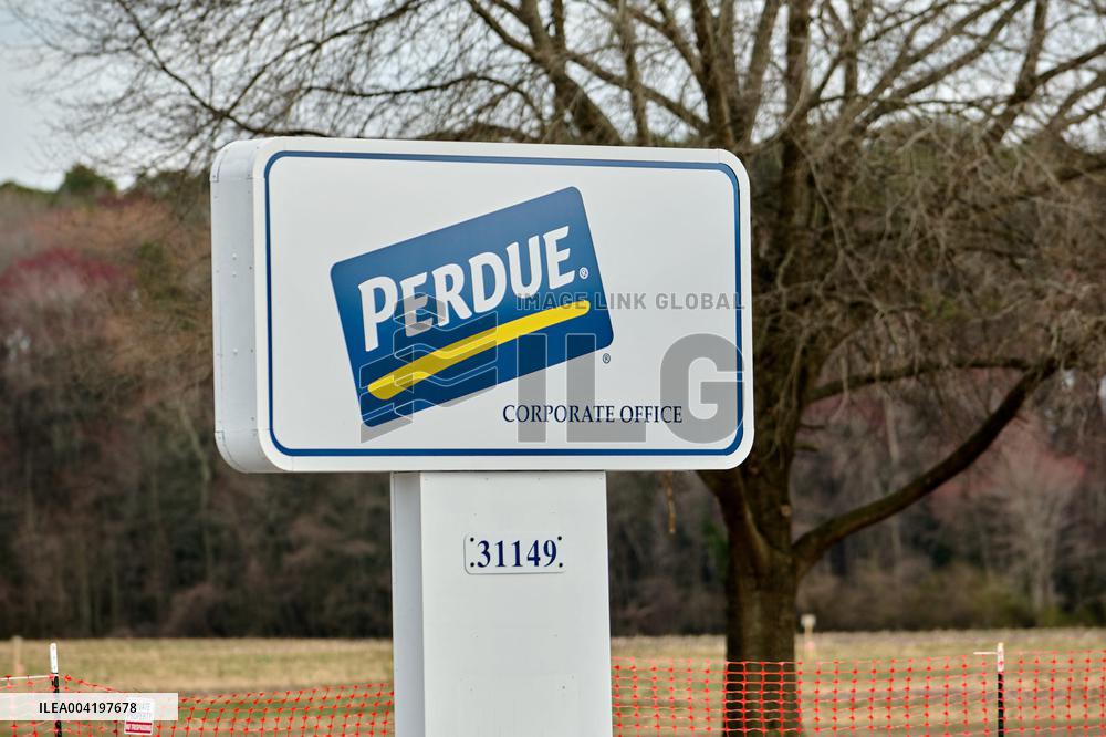 Perdue Farms Illustrations - USA