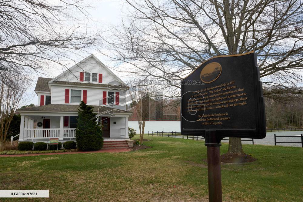 Perdue Farms Illustrations - USA