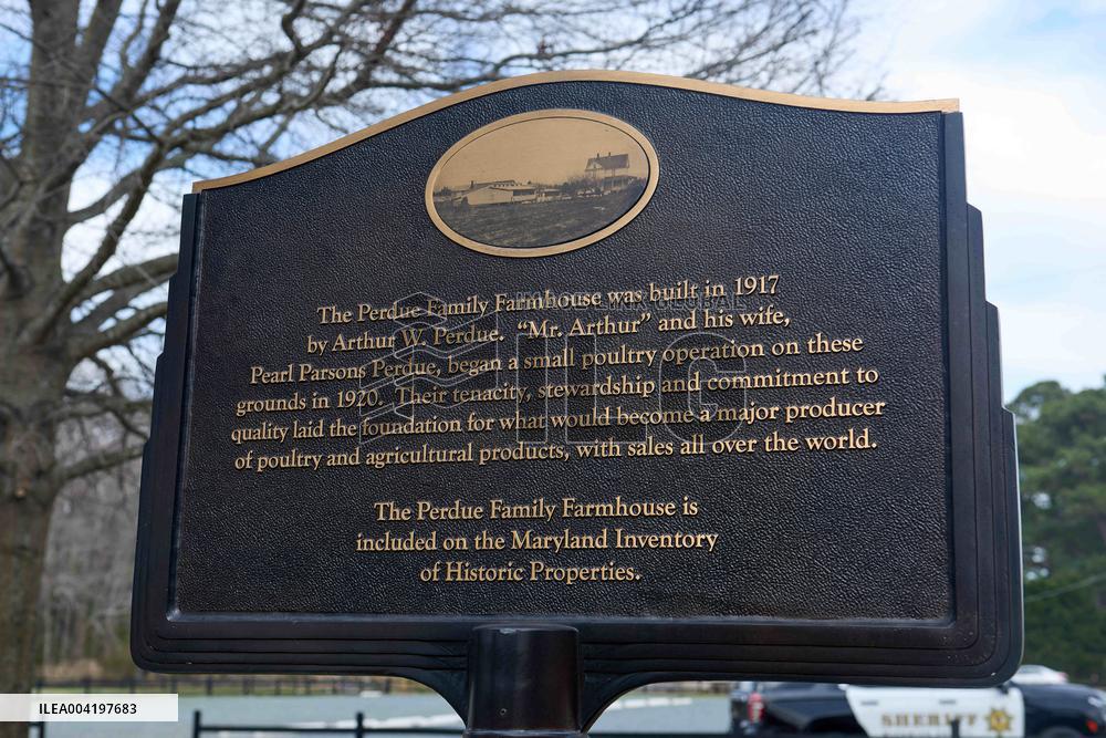 Perdue Farms Illustrations - USA