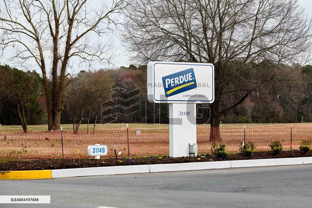 Perdue Farms Illustrations - USA
