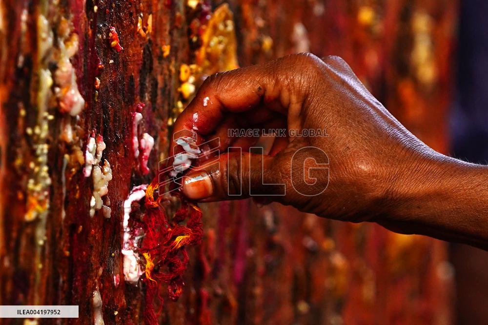 Sheetala Saptami Festival - India