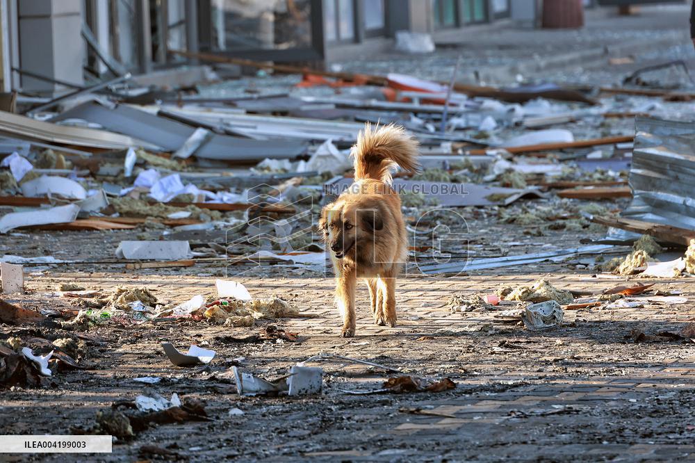 Russian troops launch massive drone attack on Odesa