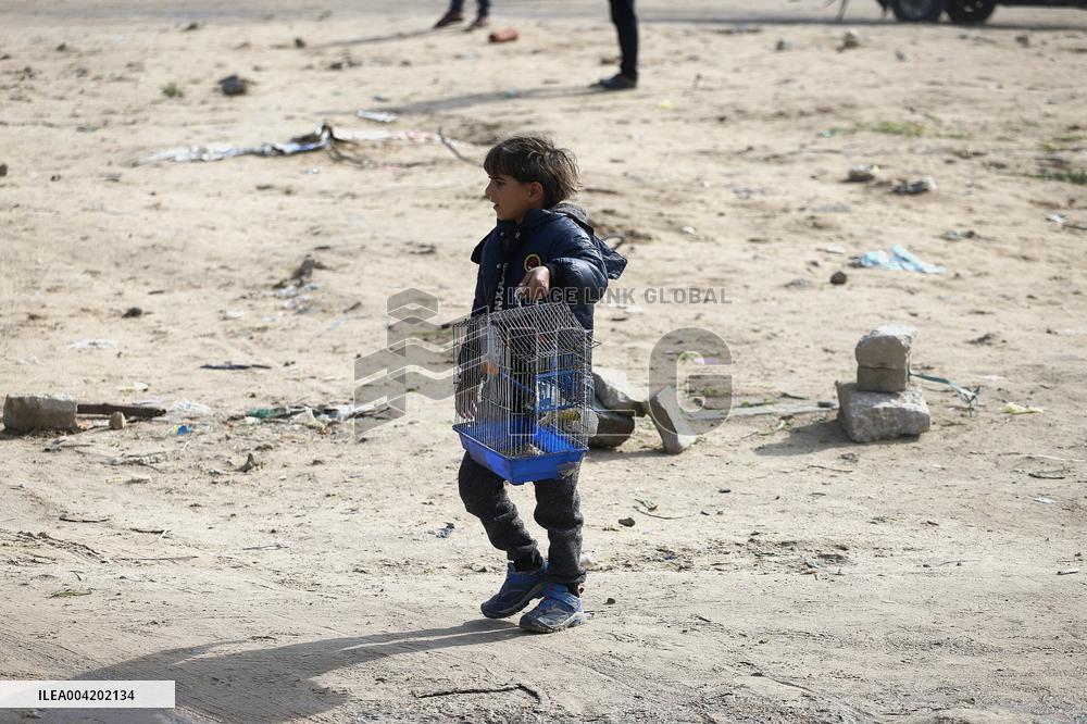 Palestinians Flee To Safer Areas Due To Israeli Attacks - Gaza