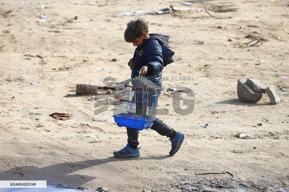 Palestinians Flee To Safer Areas Due To Israeli Attacks - Gaza