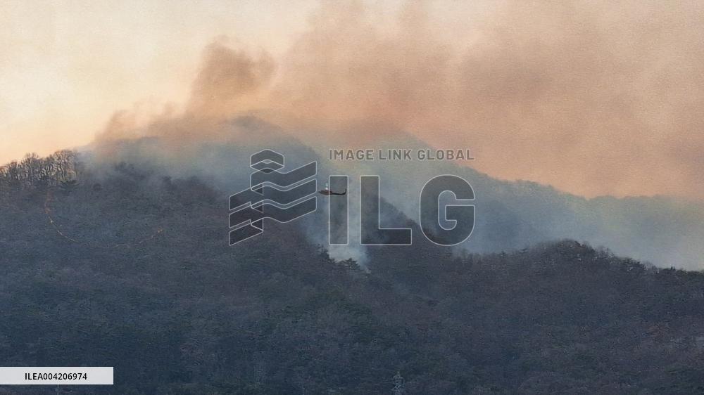 South Korea Wildfires - The Government Declared State Of Disaster