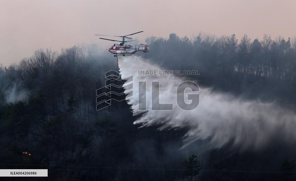 South Korea Wildfires - The Government Declared State Of Disaster