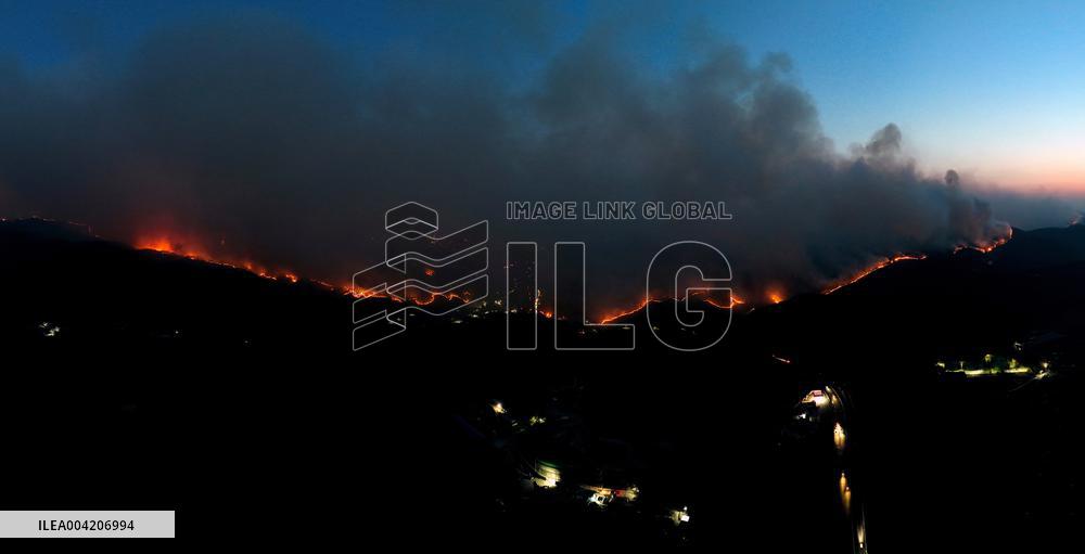 South Korea Wildfires - The Government Declared State Of Disaster