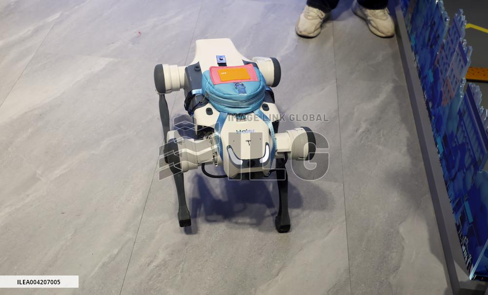 Robot Displayed at 2025AWE in Shanghai