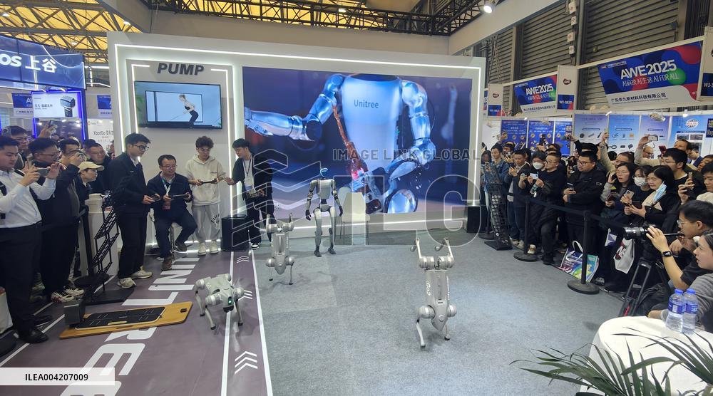 Robot Displayed at 2025AWE in Shanghai