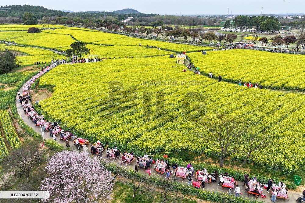 Tourists Eat Hot Pot Among Blooming Rapeseed Flowers in Nanjing
