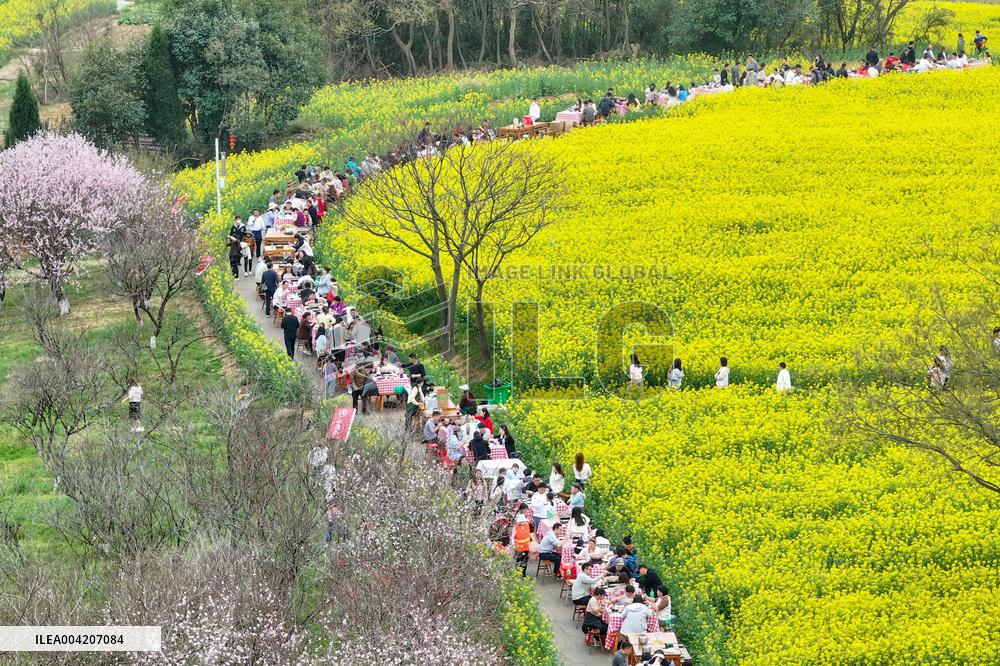 Tourists Eat Hot Pot Among Blooming Rapeseed Flowers in Nanjing