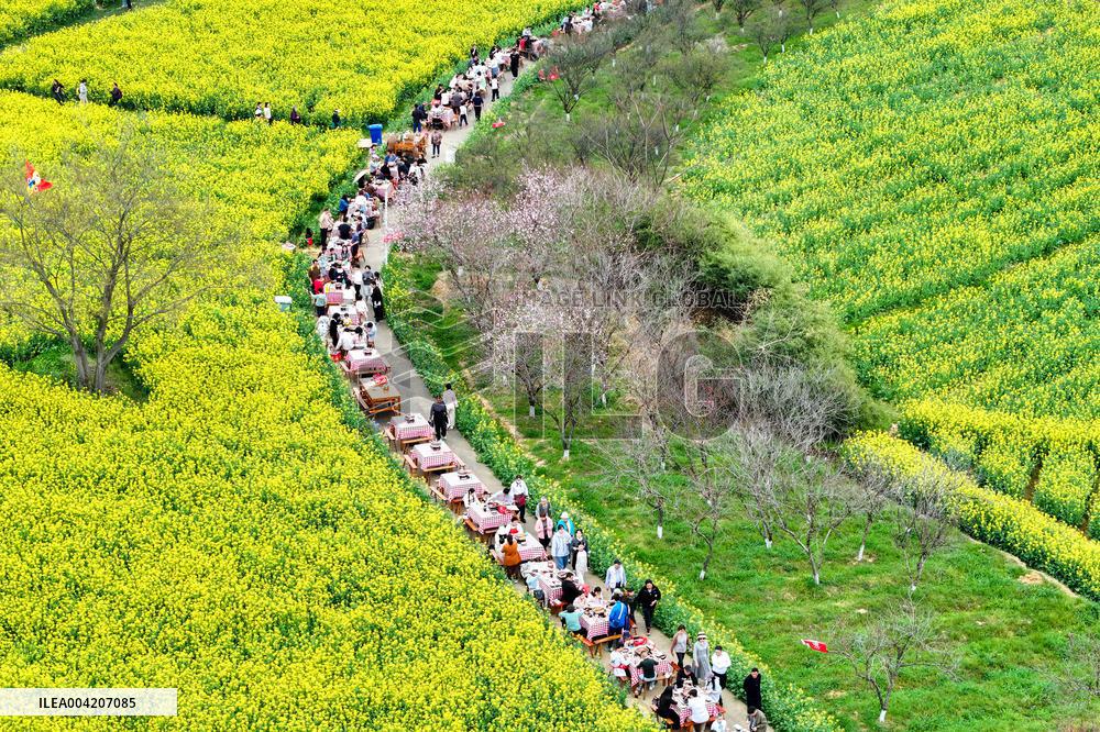 Tourists Eat Hot Pot Among Blooming Rapeseed Flowers in Nanjing