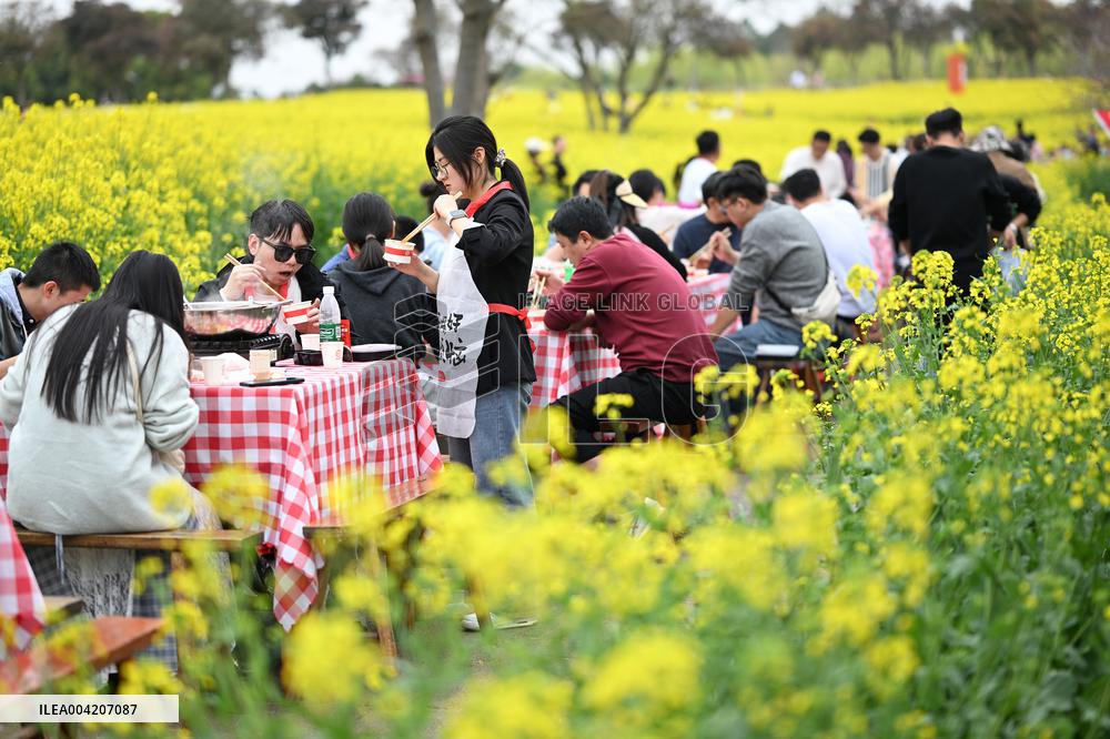 Tourists Eat Hot Pot Among Blooming Rapeseed Flowers in Nanjing