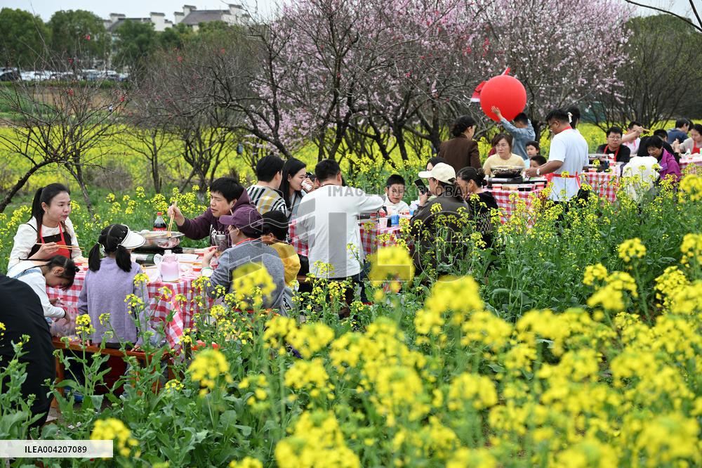 Tourists Eat Hot Pot Among Blooming Rapeseed Flowers in Nanjing