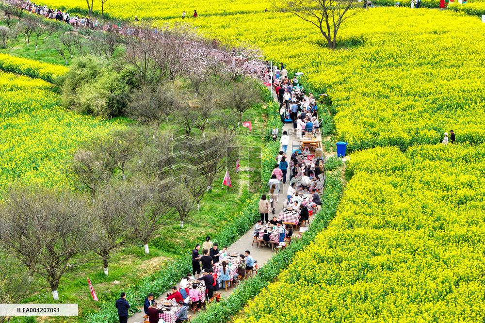 Tourists Eat Hot Pot Among Blooming Rapeseed Flowers in Nanjing