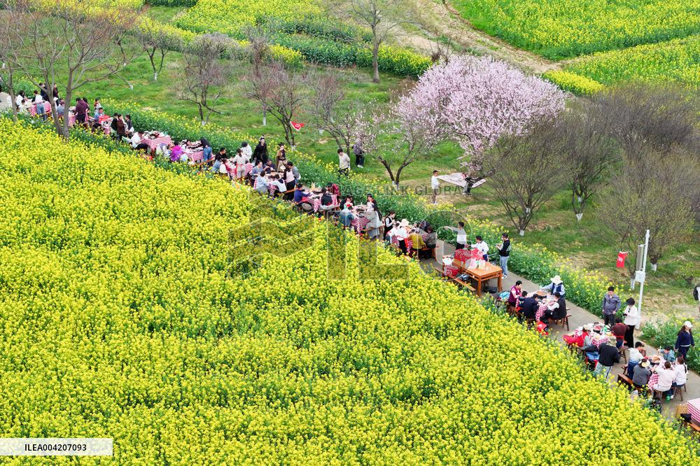 Tourists Eat Hot Pot Among Blooming Rapeseed Flowers in Nanjing
