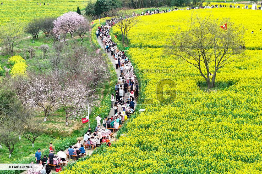 Tourists Eat Hot Pot Among Blooming Rapeseed Flowers in Nanjing