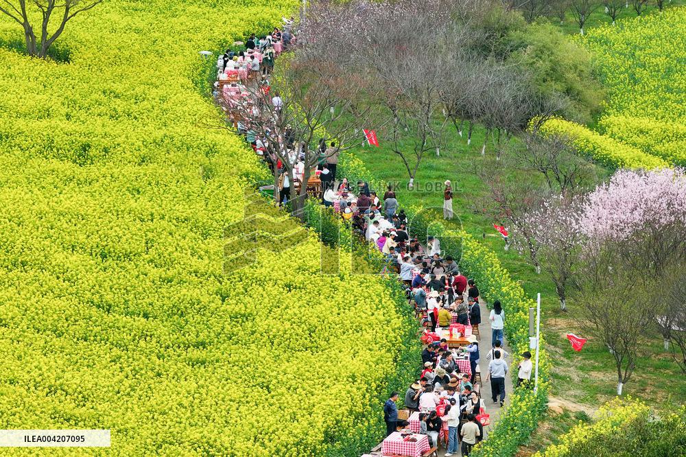 Tourists Eat Hot Pot Among Blooming Rapeseed Flowers in Nanjing