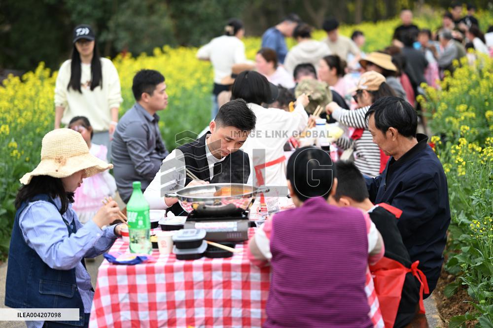 Tourists Eat Hot Pot Among Blooming Rapeseed Flowers in Nanjing