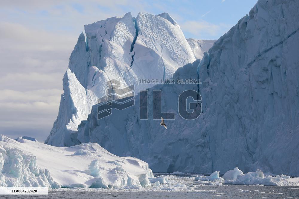 Icebergs at the Disko Bay close to Ilulissat - Greenland