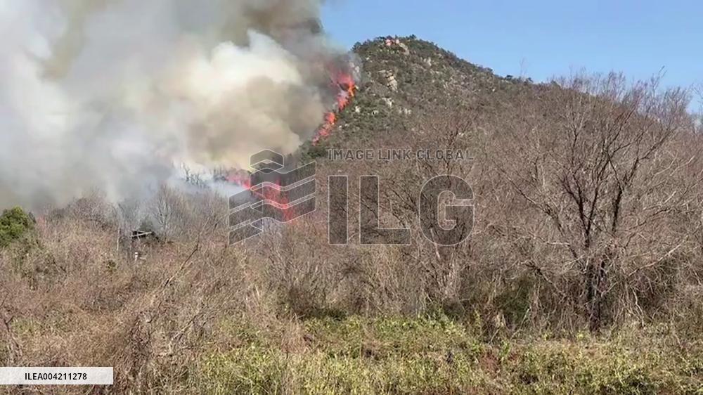 Japan: Wildfires Rage in Okayama and Ehime Prefectures, Evacuations Ordered 2