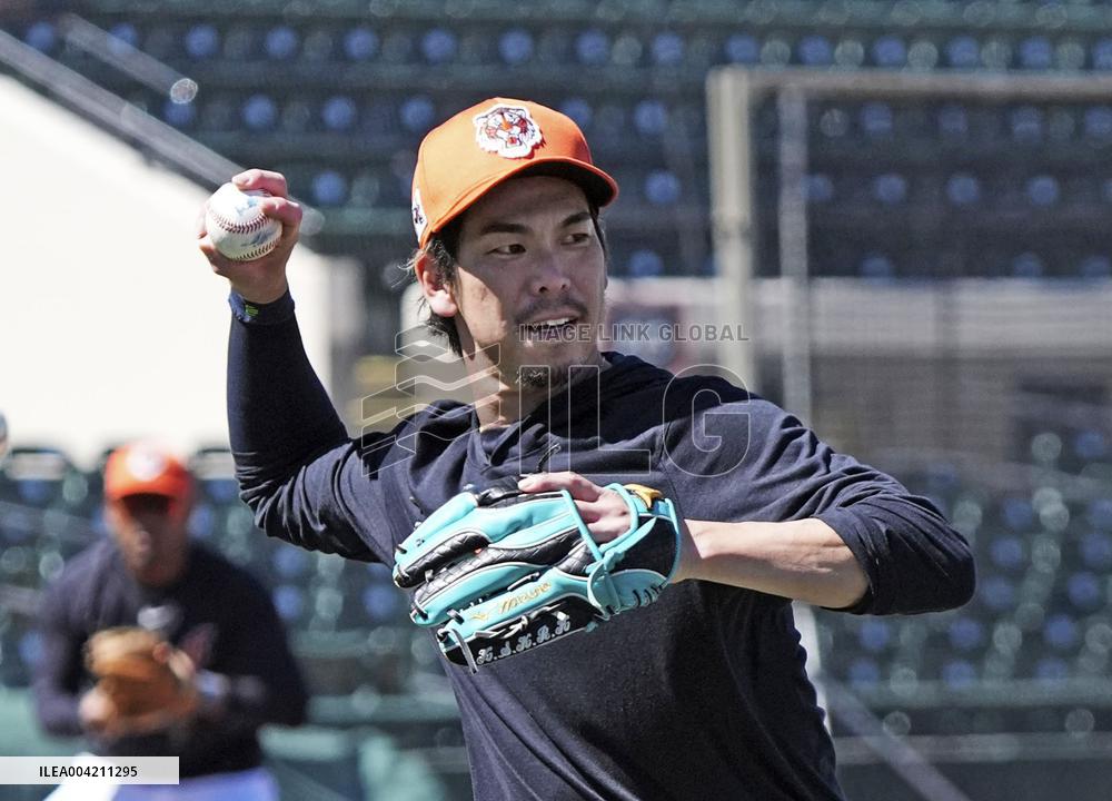 Baseball: MLB spring training