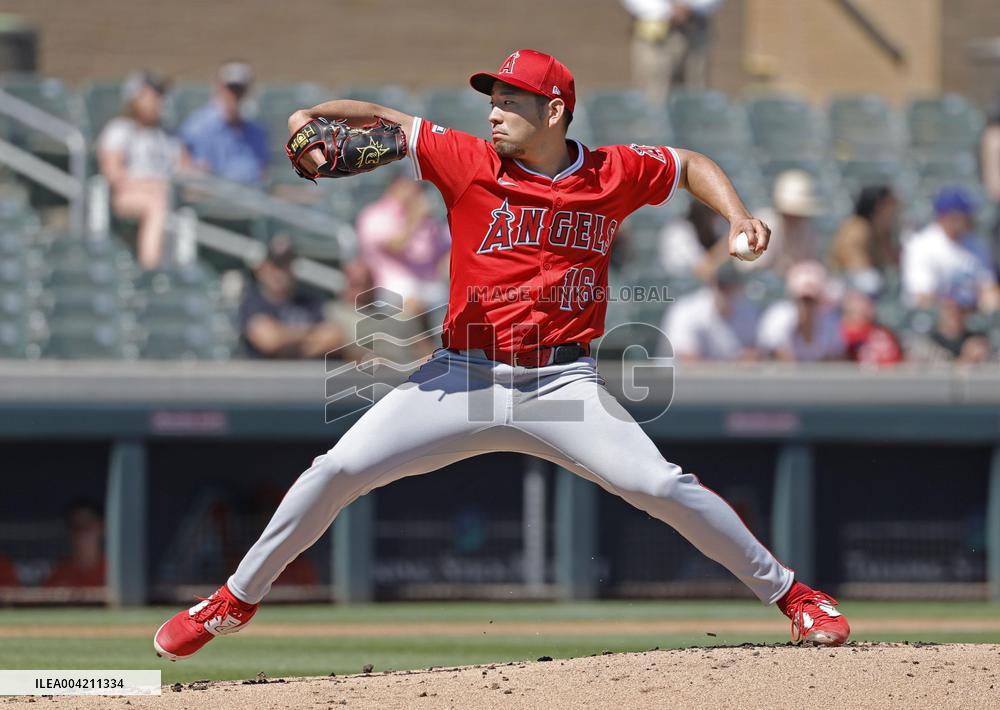 Baseball: MLB spring training