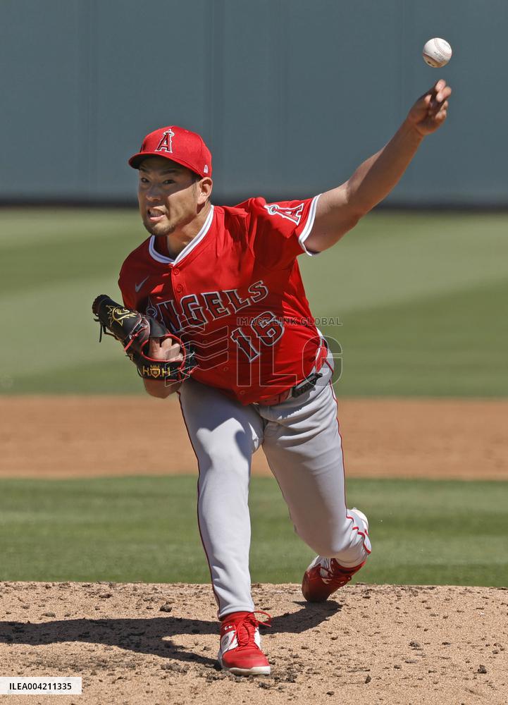 Baseball: MLB spring training