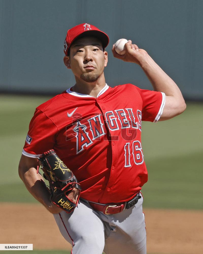 Baseball: MLB spring training