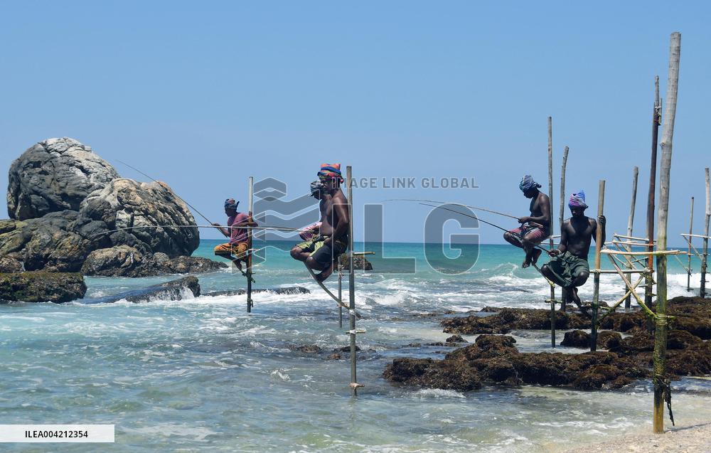 Traditional Stilt Fishing - Sri Lanka