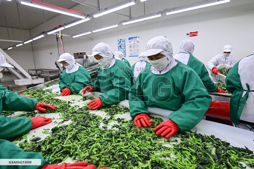 China Manufacturing Industry