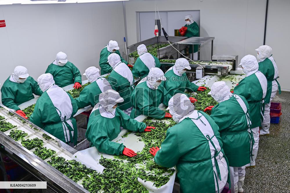 China Manufacturing Industry