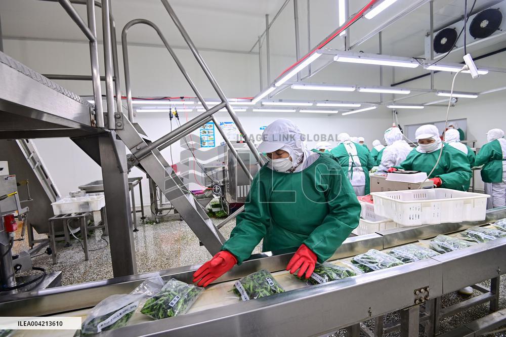 China Manufacturing Industry