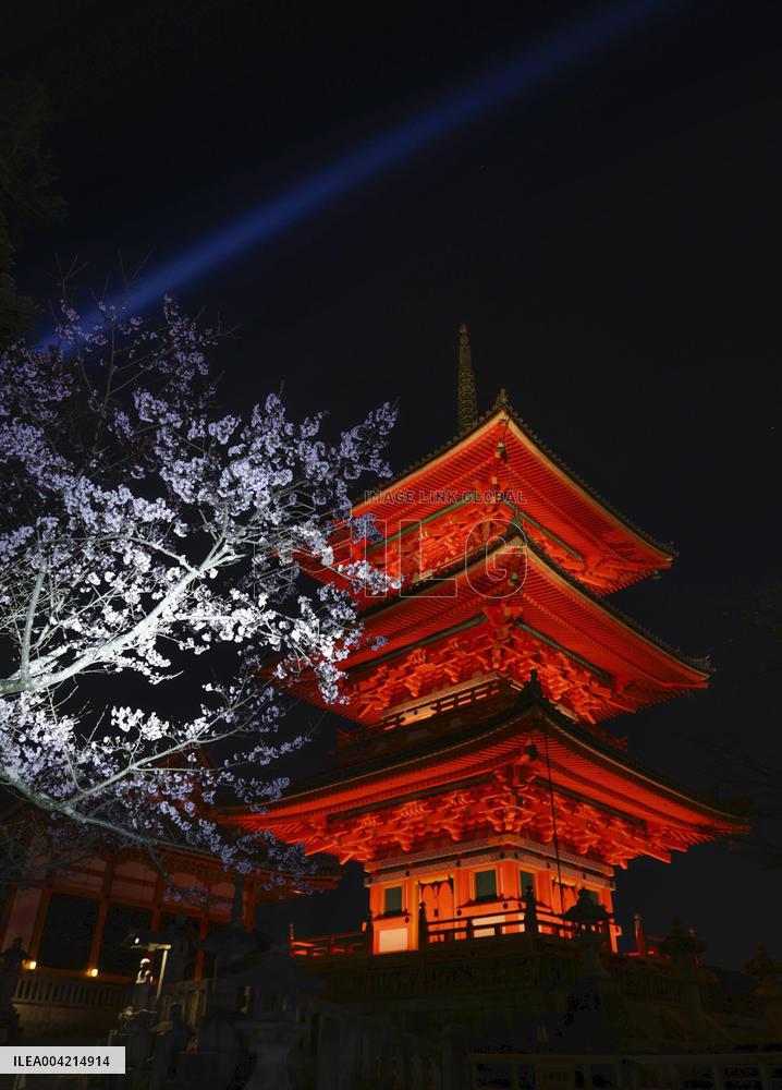 Kiyomizu temple lit up in Kyoto
