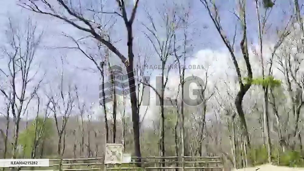 US: Table Rock State Park Fire Continues to Burn in South Carolina