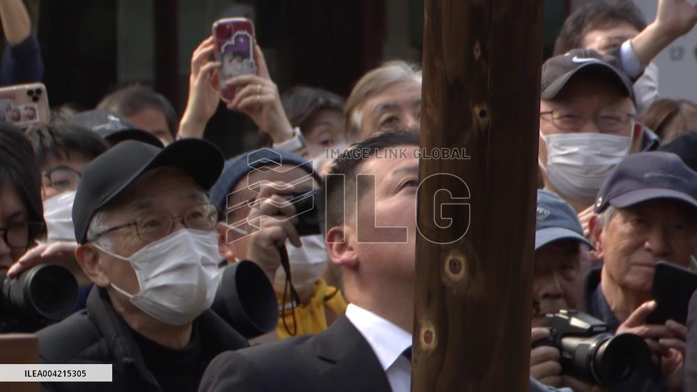 Cherry blossoms in Tokyo