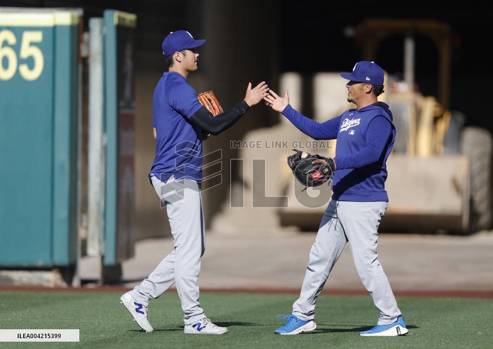 Baseball:Shohei Ohtani