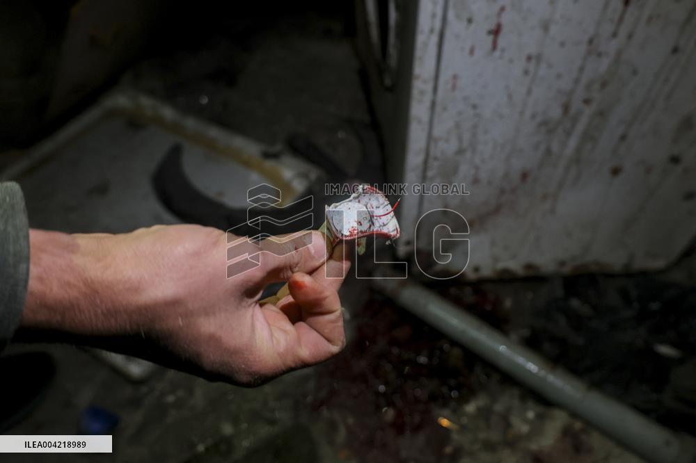 Israel Kills Freed Prisoner - West Bank