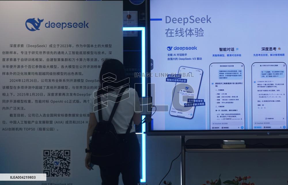 DeepSeek AI Model