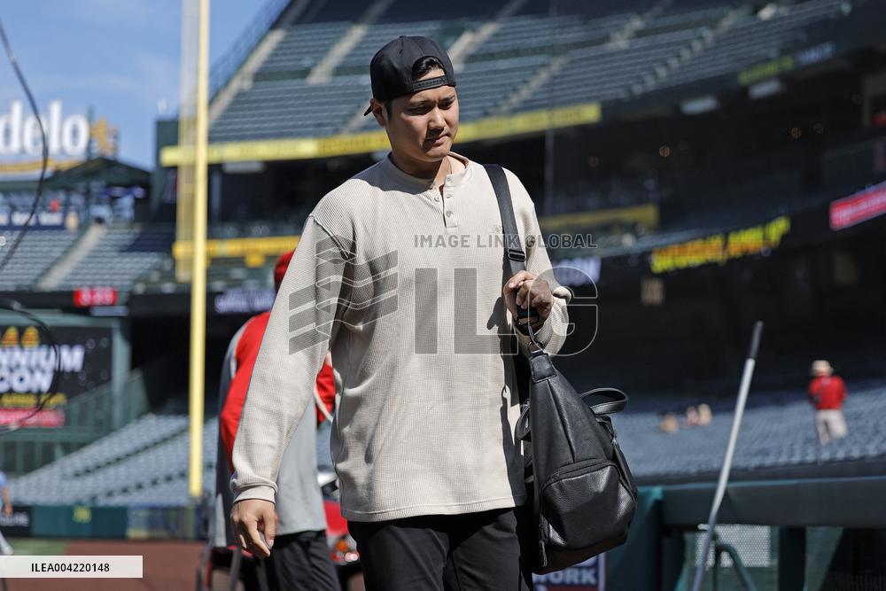 Baseball:Shohei Ohtani